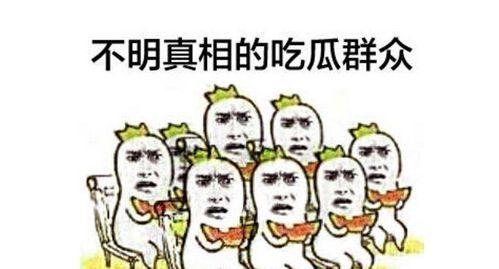 吃瓜群众追星视频大全,吃瓜群众追星视频大盘点