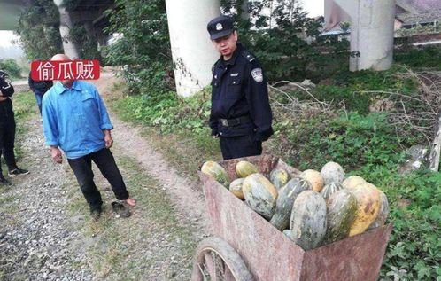 余干县吃瓜事件视频曝光,视频曝光引发社会关注