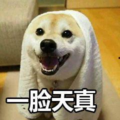 情侣吵架吃瓜段子大全视频,笑料百出，温馨又逗趣