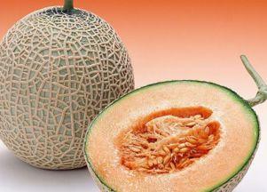 鹅喜欢吃哈密瓜吗图片视频,揭秘鹅对哈密瓜的喜爱之谜