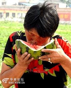 两个老太太吃瓜视频