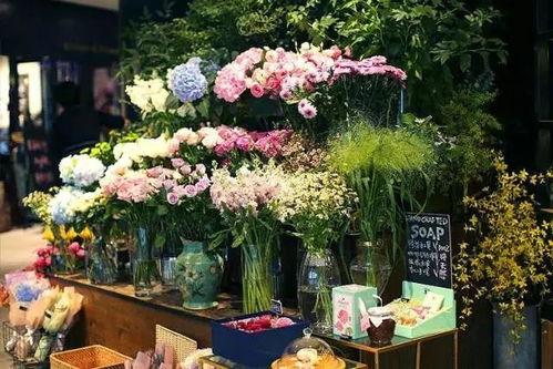 花店吃瓜视频大全最新版,趣味横生，笑料百出，最新版来袭！