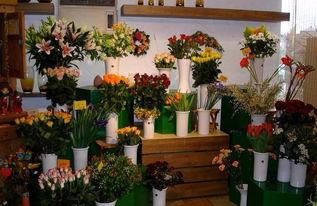 扬州花店吃瓜事件视频