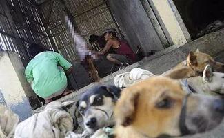 吃噎死狗面瓜视频真实,网友紧急救助