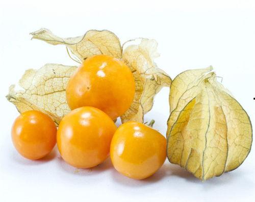 女孩旅游吃羊角蜜瓜视频,女孩品尝羊角蜜瓜的甜蜜瞬间