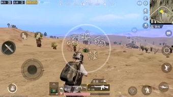 渣渣瓜视频吃鸡,趣味横生，笑料百出