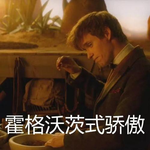 麻瓜吃瓜不吃麻瓜的视频