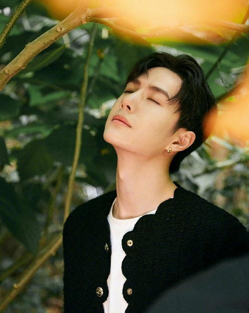 顶流社男明星吃瓜视频,揭秘娱乐圈幕后真相