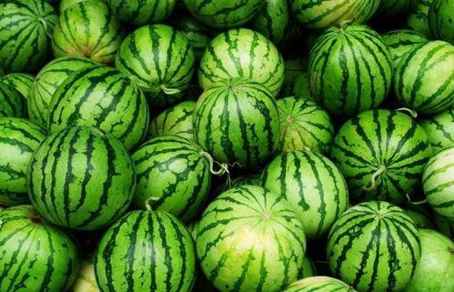 夏天吃哪四瓜最好呢视频,夏日四瓜养生攻略