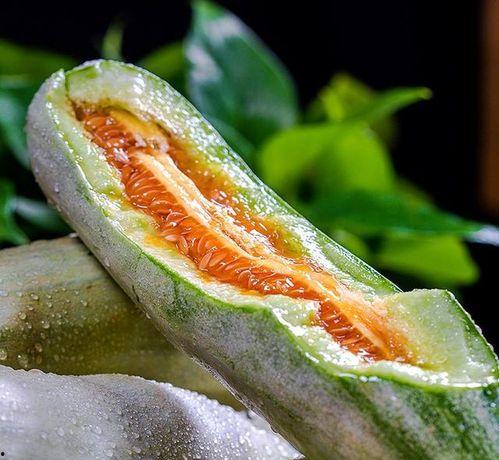 小时候吃脆瓜的视频大全,那些年我们一起吃的脆瓜视频大盘点