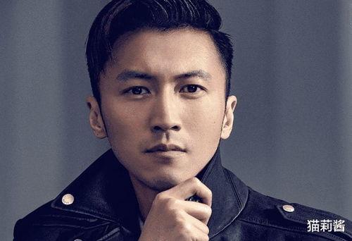 谢霆锋吃瓜新闻视频大全,揭秘明星吃瓜视频背后的故事