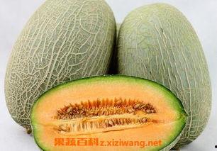 吃哈密瓜吐籽怎么办啊视频,轻松应对哈密瓜吐籽烦恼